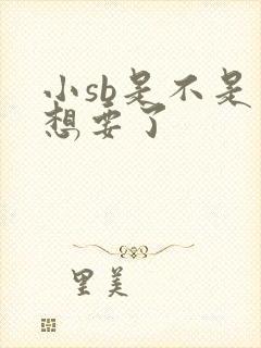 小sb是不是又想要了