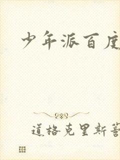 少年派百度百科