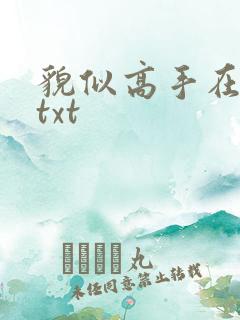貌似高手在异界txt