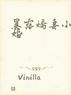 暴露娇妻小月新婚