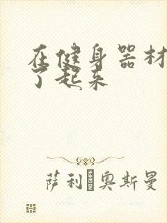 在健身器材上做了起来