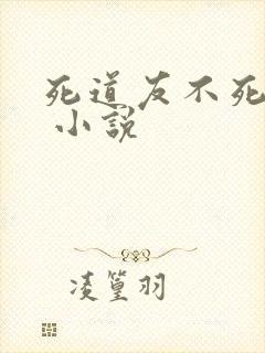 死道友不死贫道 小说
