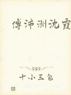 傅沛洲沈霞小说