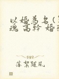 以婚为名 (军魂 高干 婚恋)