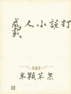 成人小说打包下载