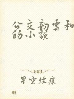 公交韵云和小健的小说