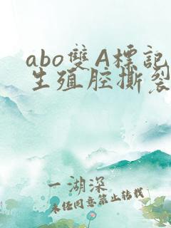 abo双A标记生殖腔撕裂