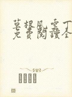 草根风云丁长生免费阅读全本