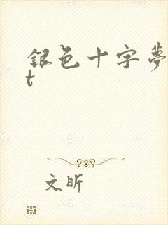 银色十字梦txt