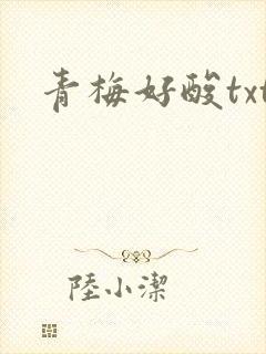 青梅好酸txt