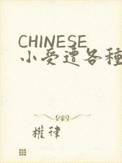 CHINESE小受遭各种打桩