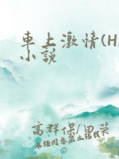 车上激情(H)小说