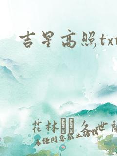 吉星高照txt