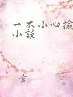 一不小心捡到爱小说