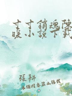 寸寸销魂陈聪王暖小说下载