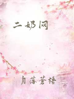 二奶网