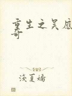 重生之吴应熊传奇