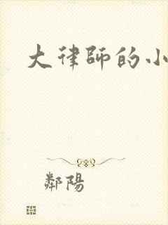 大律师的小老婆