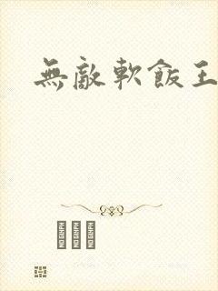 无敌软饭王
