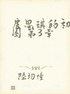 房思琪的初恋乐园 第3章