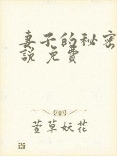 妻子的秘密 小说 免费