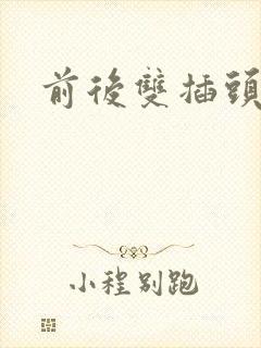 前后双插头互攻