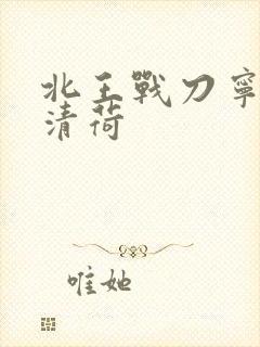 北王战刀宁北苏清荷