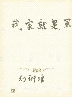 我家就是军火铺