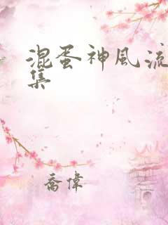 混蛋神风流史全集