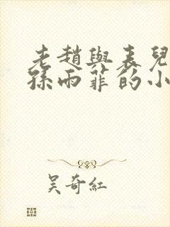 老赵与表儿媳妇孙雨菲的小说孙雨