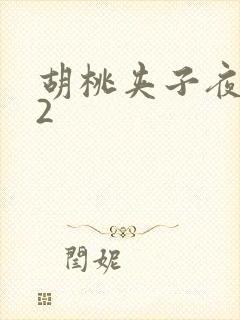 胡桃夹子夜未眠2