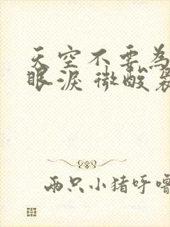 天空不要为我掉眼泪 微酸袅袅