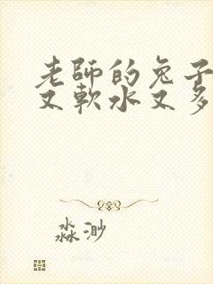 老师的兔子又大又软水又多