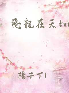 飞龙在天txt