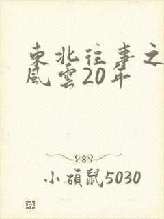 东北往事之黑道风云20年