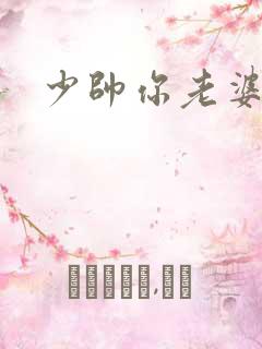 少帅你老婆