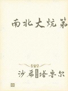 南北大炕第一部