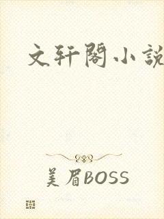 文轩阁小说网
