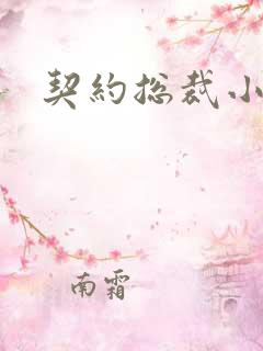 契约总裁小萌宝