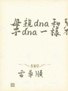 母亲dna和儿子dna一样不