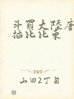 斗罗大陆唐三爆插比比东