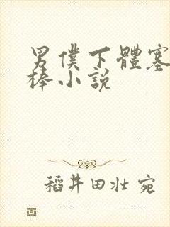 男仆下体塞震动棒小说