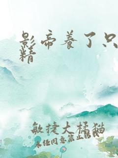 影帝养了只玫瑰精