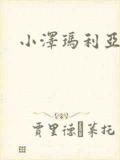 小泽玛利亚作品