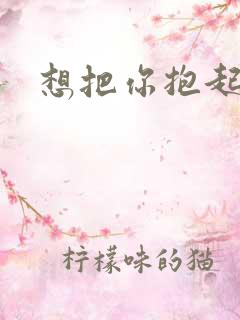想把你抱起来撞