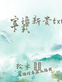 官场新贵txt下载