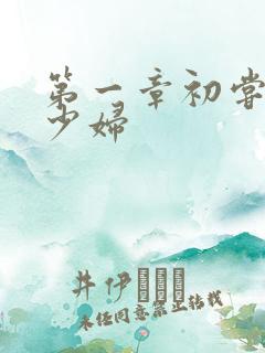 第一章初尝极品少妇