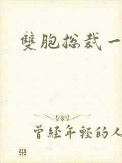 双胞总裁一个妻