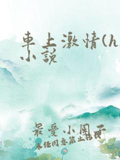 车上激情(h)小说