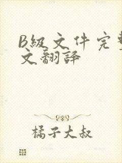 B级文件完整中文翻译